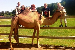 kamel-kids.jpg